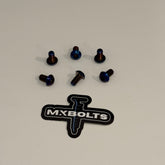Fork Guard Titanium Bolts (All Emoto)