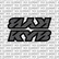 KYB Fork Tube Decal
