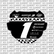 Finish Line Number Plate Decal