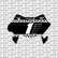 Finish Line Number Plate Decal
