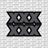 Talaria x3 "XXX" Fork Tube Decal