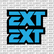 EXT Fork Tube Decal