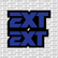 EXT Fork Tube Decal
