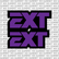 EXT Fork Tube Decal