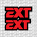 EXT Fork Tube Decal