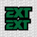 EXT Fork Tube Decal