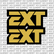 EXT Fork Tube Decal