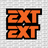 EXT Fork Tube Decal