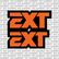EXT Fork Tube Decal