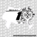 Chrome Hearts Number Plate Decal (Inverted)